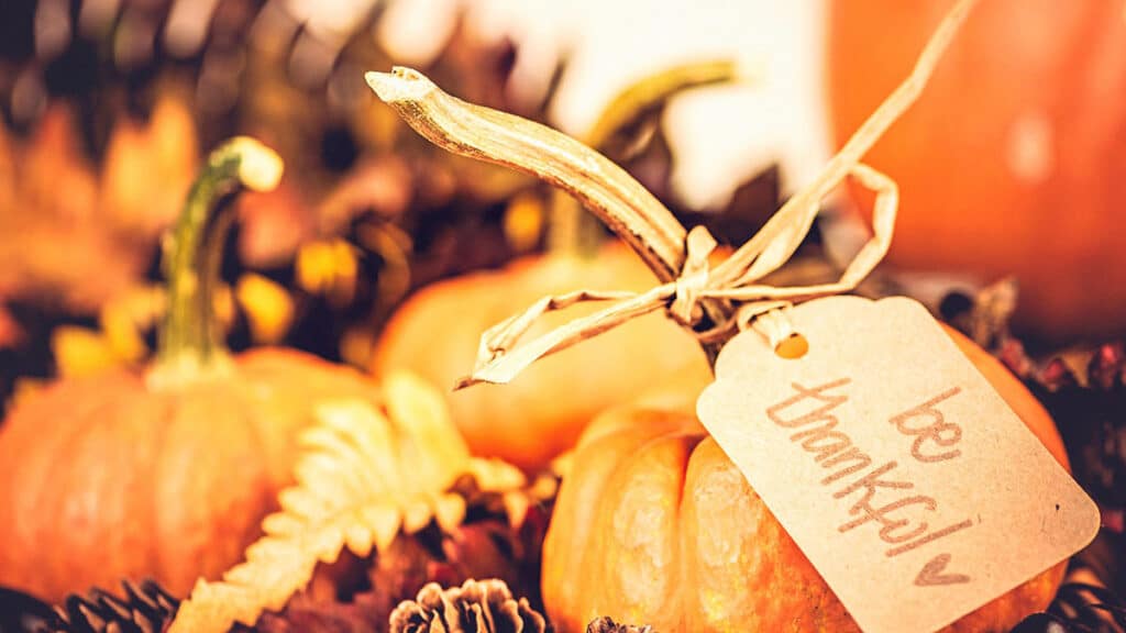 Thanksgiving Printable Ideas That Are Sure to Make Your Guests Envious